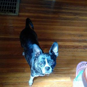 Meet your Posher, Victoria